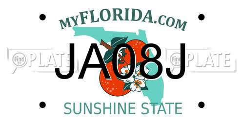 JA08J Florida License Plate
