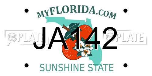 JA142 Florida License Plate
