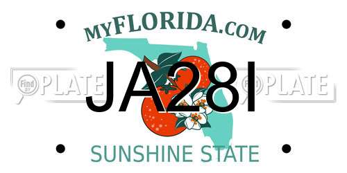 JA28I Florida License Plate