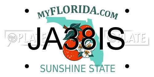 JA38IS Florida License Plate