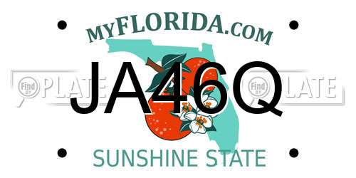 JA46Q Florida License Plate