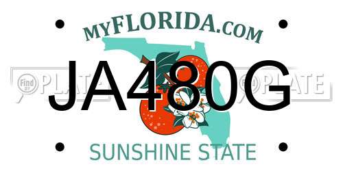 JA480G Florida License Plate