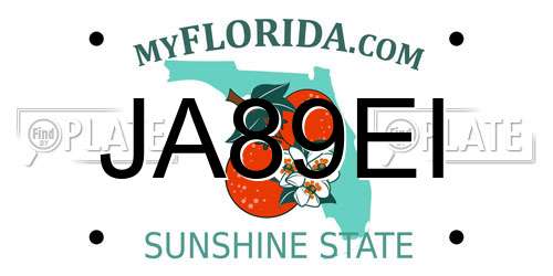 JA89EI Florida License Plate