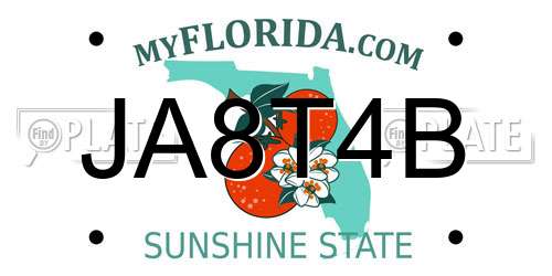 JA8T4B Florida License Plate