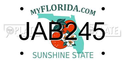 JAB245 Florida License Plate