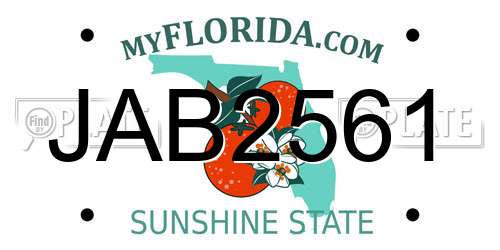 JAB2561 Florida License Plate