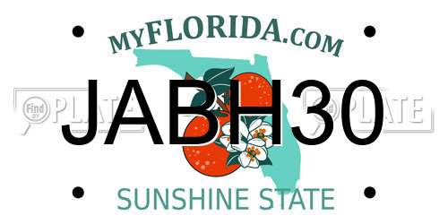 JABH30 Florida License Plate