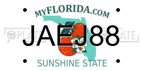 JAEJ88 Florida License Plate