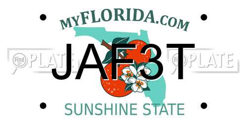 JAF3T Florida License Plate