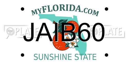 JAIB60 Florida License Plate
