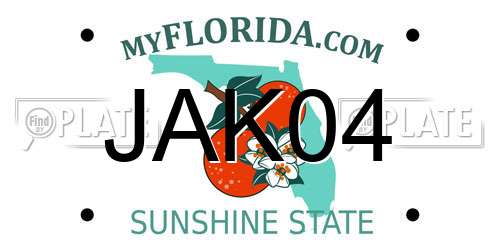 JAK04 Florida License Plate