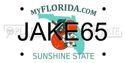 JAKE65 Florida License Plate