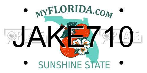 JAKE710 Florida License Plate