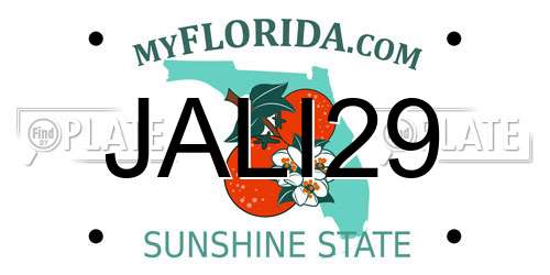 JALI29 Florida License Plate