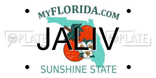 JALIV Florida License Plate