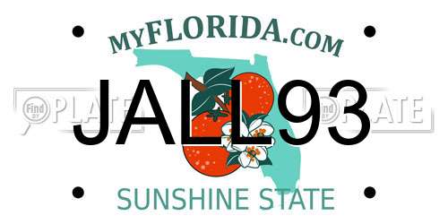JALL93 Florida License Plate