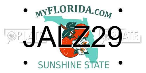 JALZ29 Florida License Plate