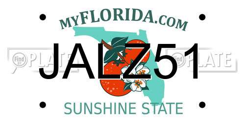 JALZ51 Florida License Plate