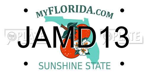 JAMD13 Florida License Plate