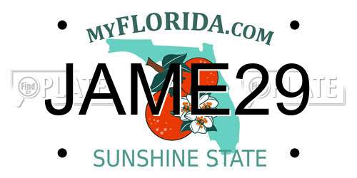 JAME29 Florida License Plate