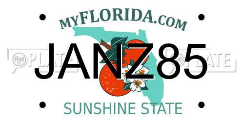 JANZ85 Florida License Plate