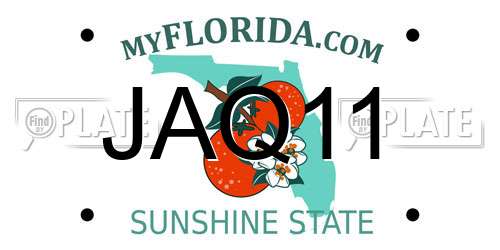 JAQ11 Florida License Plate