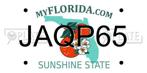 JAQP65 Florida License Plate