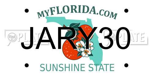 JARY30 Florida License Plate