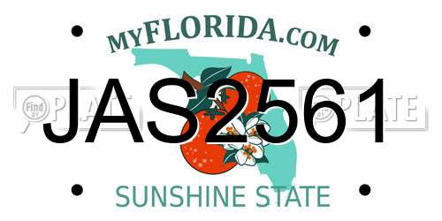 JAS2561 Florida License Plate