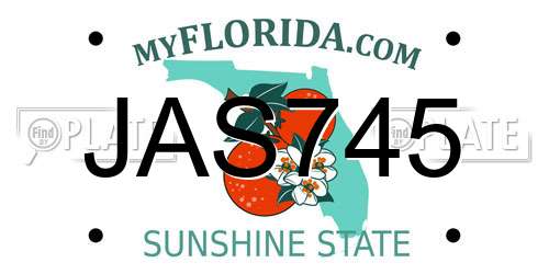 JAS745 Florida License Plate
