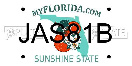 JAS81B Florida License Plate