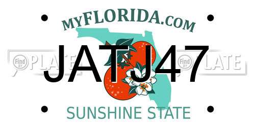 JATJ47 Florida License Plate
