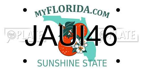 JAUI46 Florida License Plate