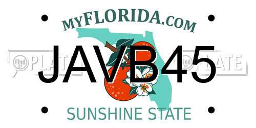 JAVB45 Florida License Plate