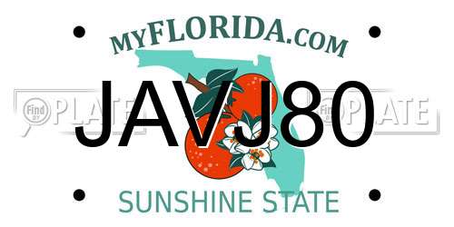 JAVJ80 Florida License Plate