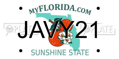 JAVY21 Florida License Plate