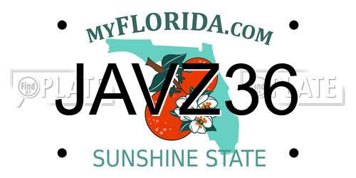 JAVZ36 Florida License Plate