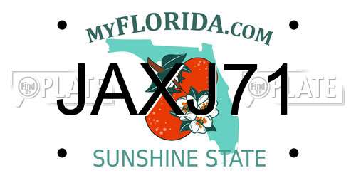JAXJ71 Florida License Plate