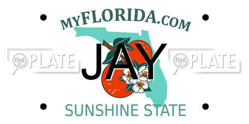 JAY Florida License Plate