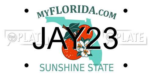JAY23 Florida License Plate