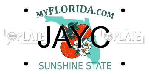 JAYC Florida License Plate