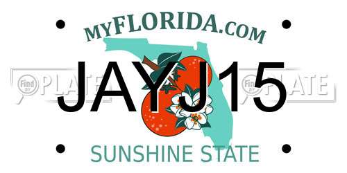 JAYJ15 Florida License Plate