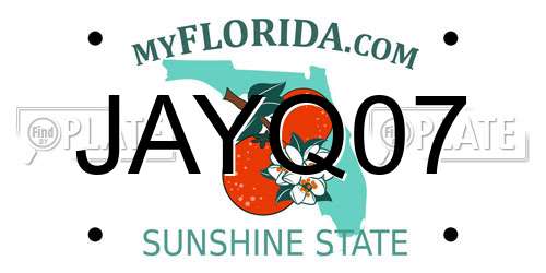 JAYQ07 Florida License Plate
