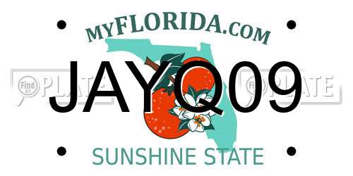 JAYQ09 Florida License Plate