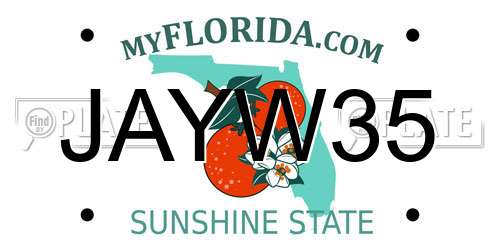 JAYW35 Florida License Plate