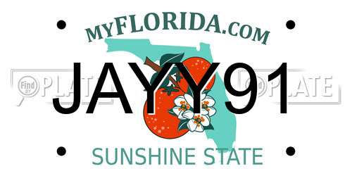 JAYY91 Florida License Plate