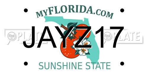 JAYZ17 Florida License Plate