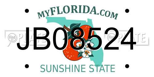 JB08524 Florida License Plate