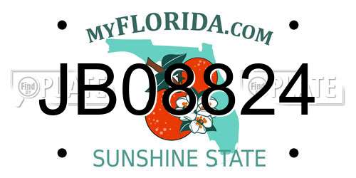 JB08824 Florida License Plate