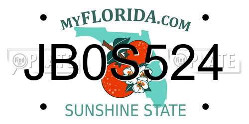 JB0S524 Florida License Plate